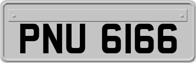 PNU6166