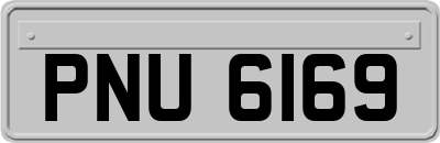 PNU6169