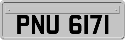 PNU6171