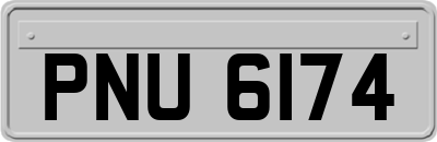 PNU6174