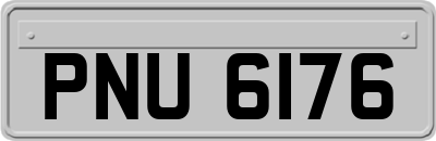 PNU6176