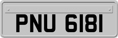 PNU6181