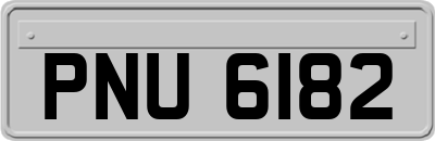 PNU6182