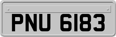 PNU6183