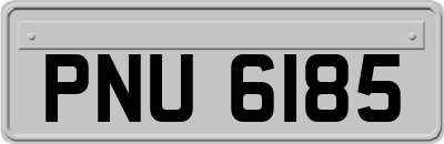 PNU6185