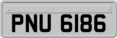 PNU6186