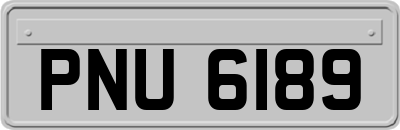 PNU6189