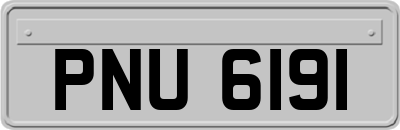 PNU6191