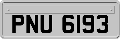 PNU6193