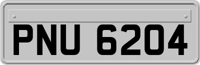 PNU6204