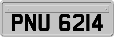PNU6214