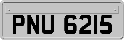 PNU6215