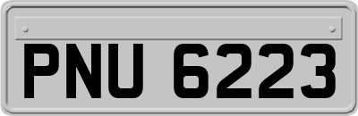 PNU6223