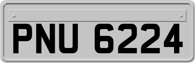PNU6224