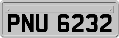 PNU6232