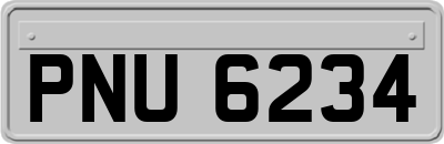 PNU6234