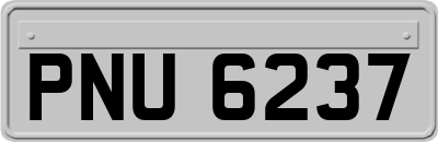 PNU6237