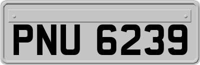 PNU6239