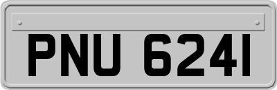 PNU6241