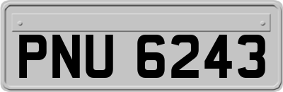 PNU6243