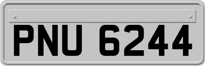 PNU6244