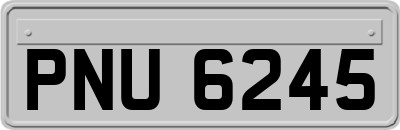 PNU6245