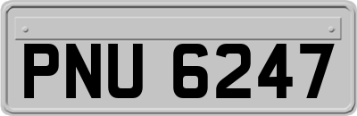 PNU6247