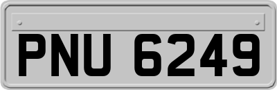 PNU6249
