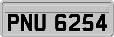 PNU6254