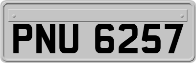 PNU6257