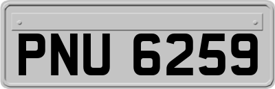 PNU6259