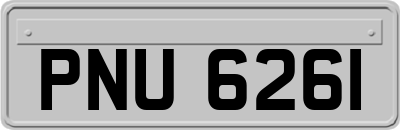 PNU6261