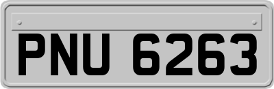 PNU6263