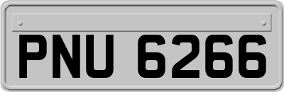PNU6266