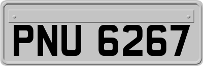 PNU6267