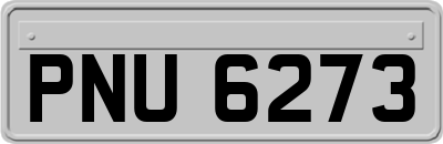 PNU6273