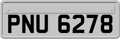 PNU6278