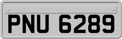 PNU6289