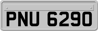 PNU6290