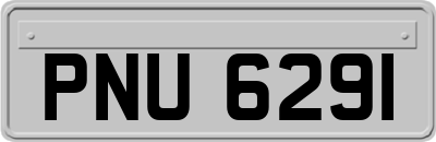 PNU6291