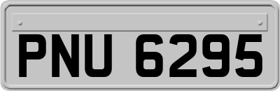 PNU6295