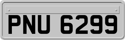 PNU6299