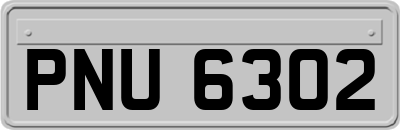 PNU6302