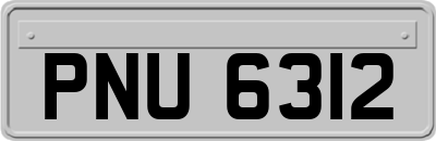 PNU6312