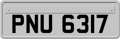 PNU6317