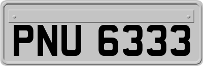 PNU6333