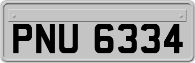 PNU6334