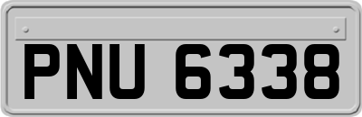 PNU6338