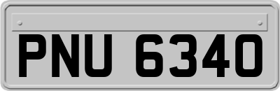PNU6340