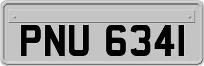 PNU6341